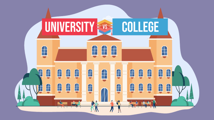 University Program 