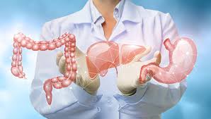 Certificate in Gastroenterology